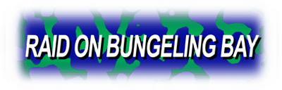 Raid on Bungeling Bay logo for NES